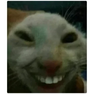 Стикер @maxon4ik17 - 11