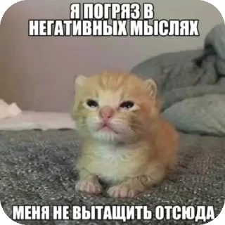 Sticker Смешнявка - 0