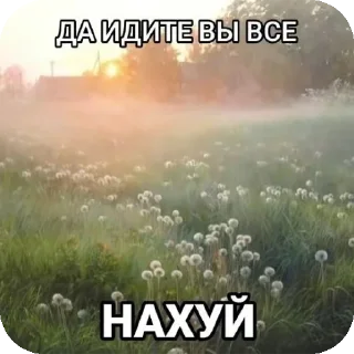 Sticker Смешнявка - 10