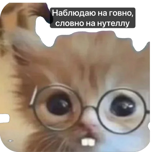 Sticker SmolenskCHat - 1