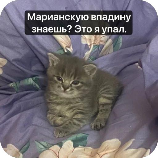 Sticker SmolenskCHat - 1