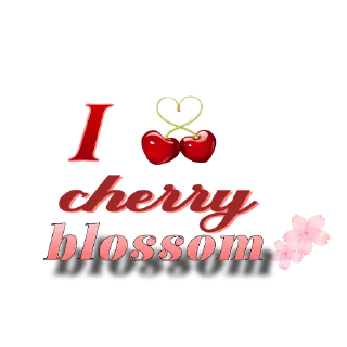 Sticker сочгнднпые стикеры черри блоссом - 1