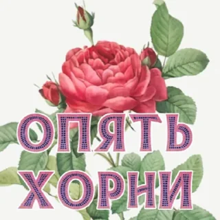 Sticker Солянка - 7