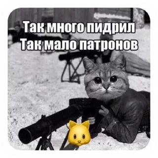 Стикер Solyanka - 7