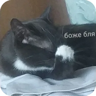 Sticker Вишнята Мята - 0