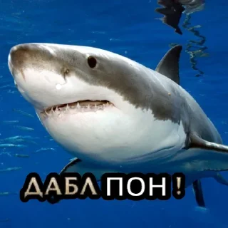 Sticker Моя коллекция @Ares_Super0 - 11