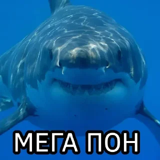 Sticker Моя коллекция @Ares_Super0 - 6