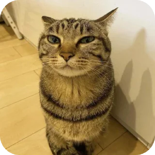 Sticker Я хз типо - 7