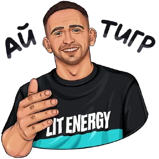 Стикер ЛИТВИН @zimin_stickers - 1