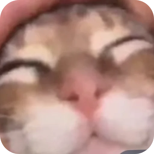 Стикер StikeryAdmin - 1