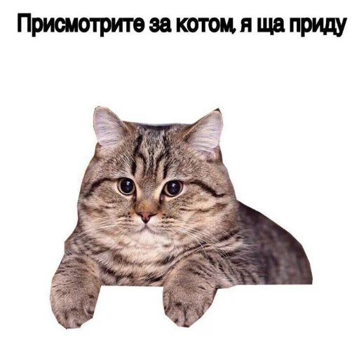 Стикеры для меня - 