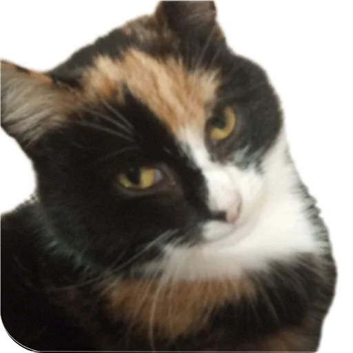 Sticker StikeryKlounaA4 - 1