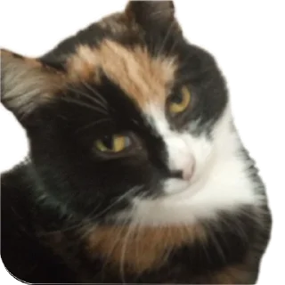 Sticker Стикеры Клоуна А4 @klounA4000 - 9