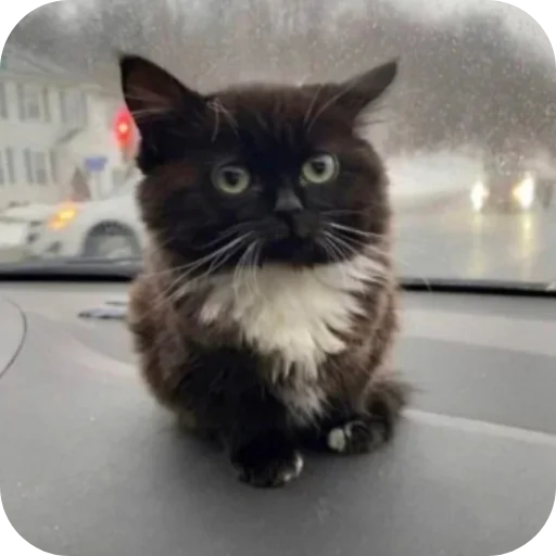 Sticker StikiRemarka - 1