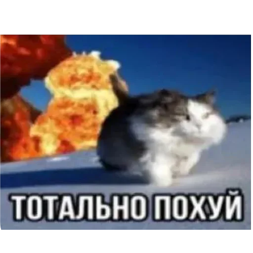 Стикер StikiRemarka - 1