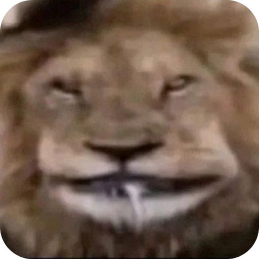 Стикер Svoi5125 - 1