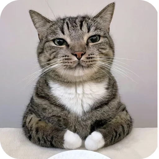 Хз как назвать - 