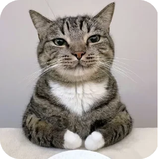 Sticker Хз как назвать - 9