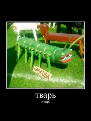 Sticker TAjbNyF_by_achestickbot - 1