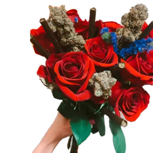 Sticker THCstories - 1