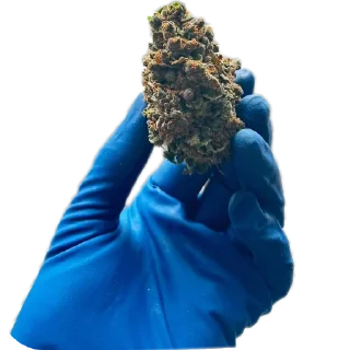 Sticker @THCstories - 2