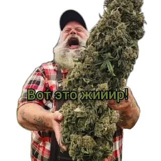 Sticker @THCstories - 3