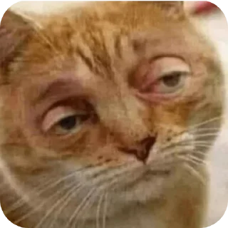 Sticker @THCstories - 9