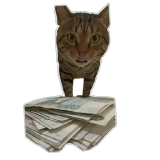 Sticker Томасяка - 7