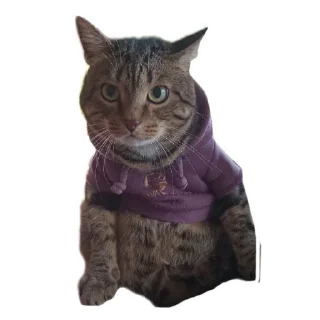 Sticker Томасяка - 1