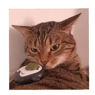 Sticker Томасяка - 10