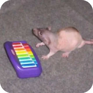 Sticker // @TonyX_LMAO'S MEME STASH // - 1