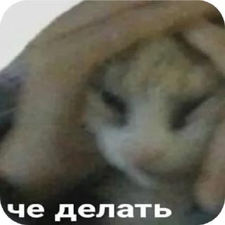 Sticker // @TonyX_LMAO'S MEME STASH // - 2