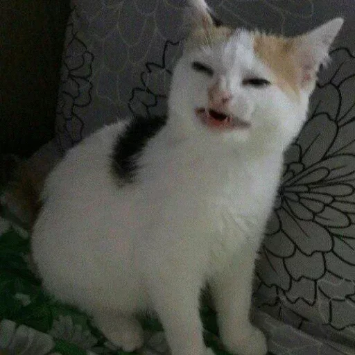 Стикер TOgP7cSY_by_erygtrtsbot - 1