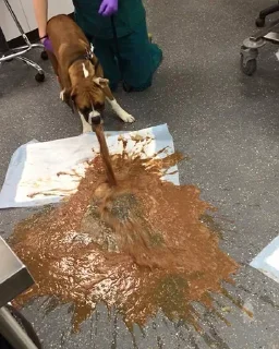 Sticker Больше @sbornik_emoji - 7