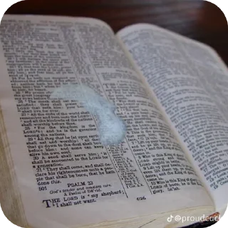 Sticker @jesus_huesus - 8