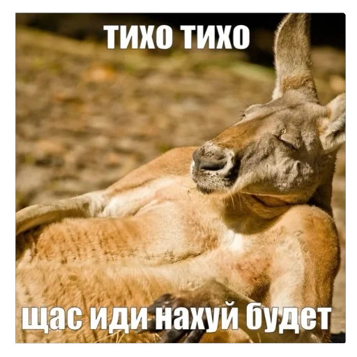 Sticker TRYUKSIBUPROFENOM - 1