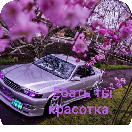 Sticker TachkiGogi - 1