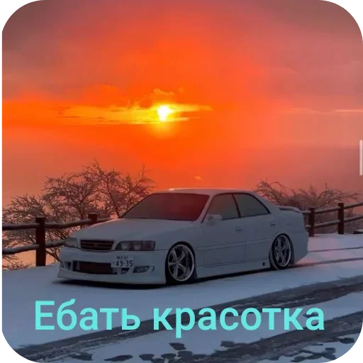 Стикер TachkiGogi - 1