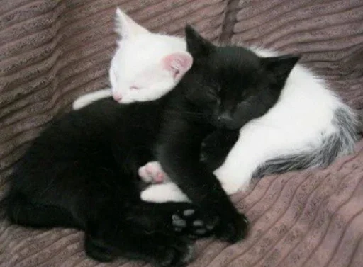 Стикер TajredNahuj - 1