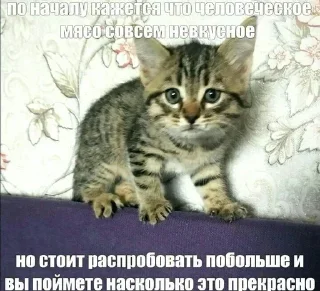 Sticker Создай стики 👉 @QStickRobot - 4