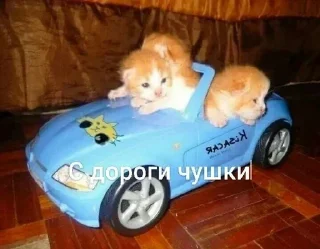 Sticker Создай стики 👉 @QStickRobot - 3