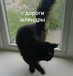 Sticker Создай стики 👉 @QStickRobot - 5