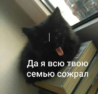 Sticker Создай стики 👉 @QStickRobot - 7