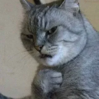 Стикер Трантулетик👹 - 5