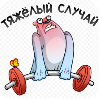 Стикер Тренировка @wellness_sveta - 5