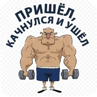 Стикер Тренировка @wellness_sveta - 2