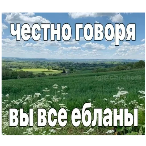 Sticker TresherAue - 1