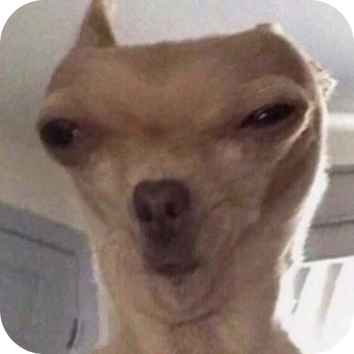 Sticker Tretij99 - 1