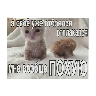 Sticker Трики шизичка - 8