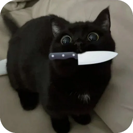 Больше стиков тут: @stikery4 - 